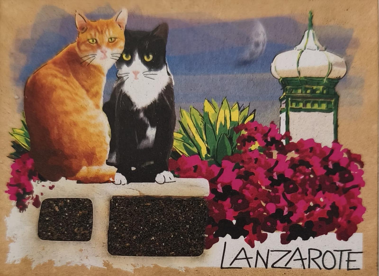 LANIMAN-05 GATOS