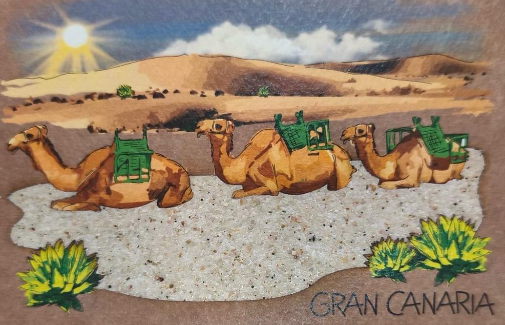 POS-08 CAMELLOS