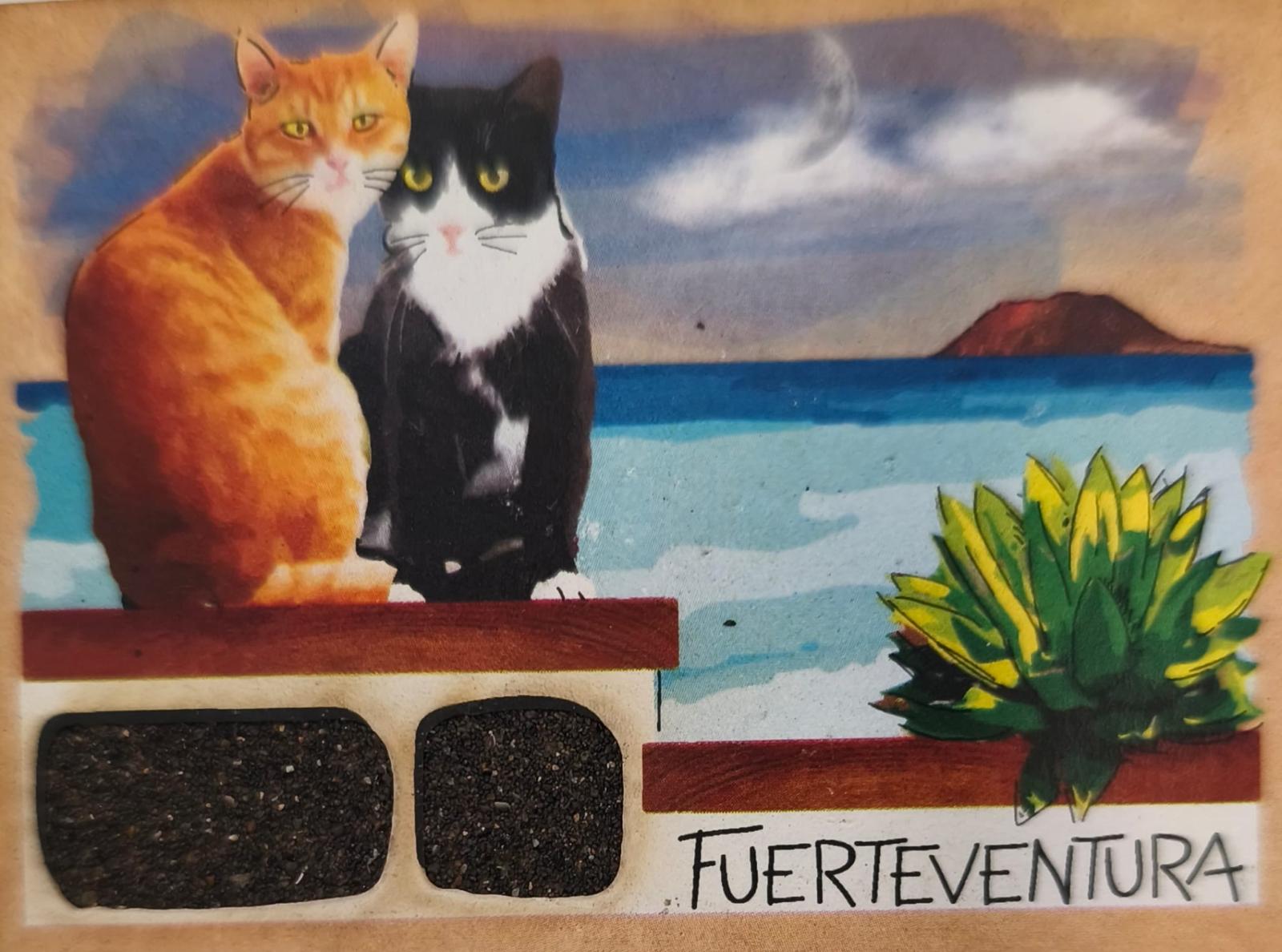 FUEIMAN-05 GATOS