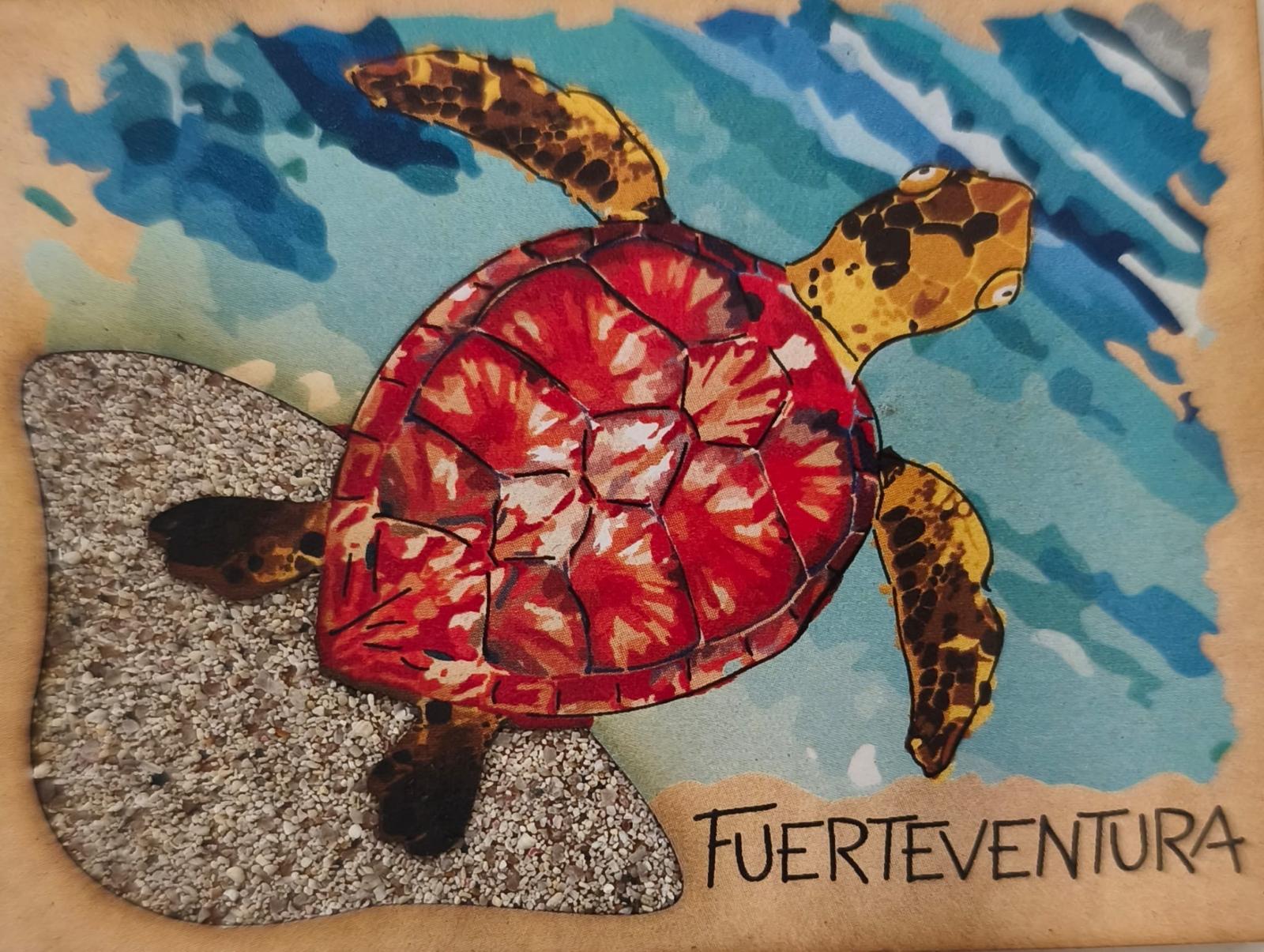 FUEIMAN-10 TORTUGA