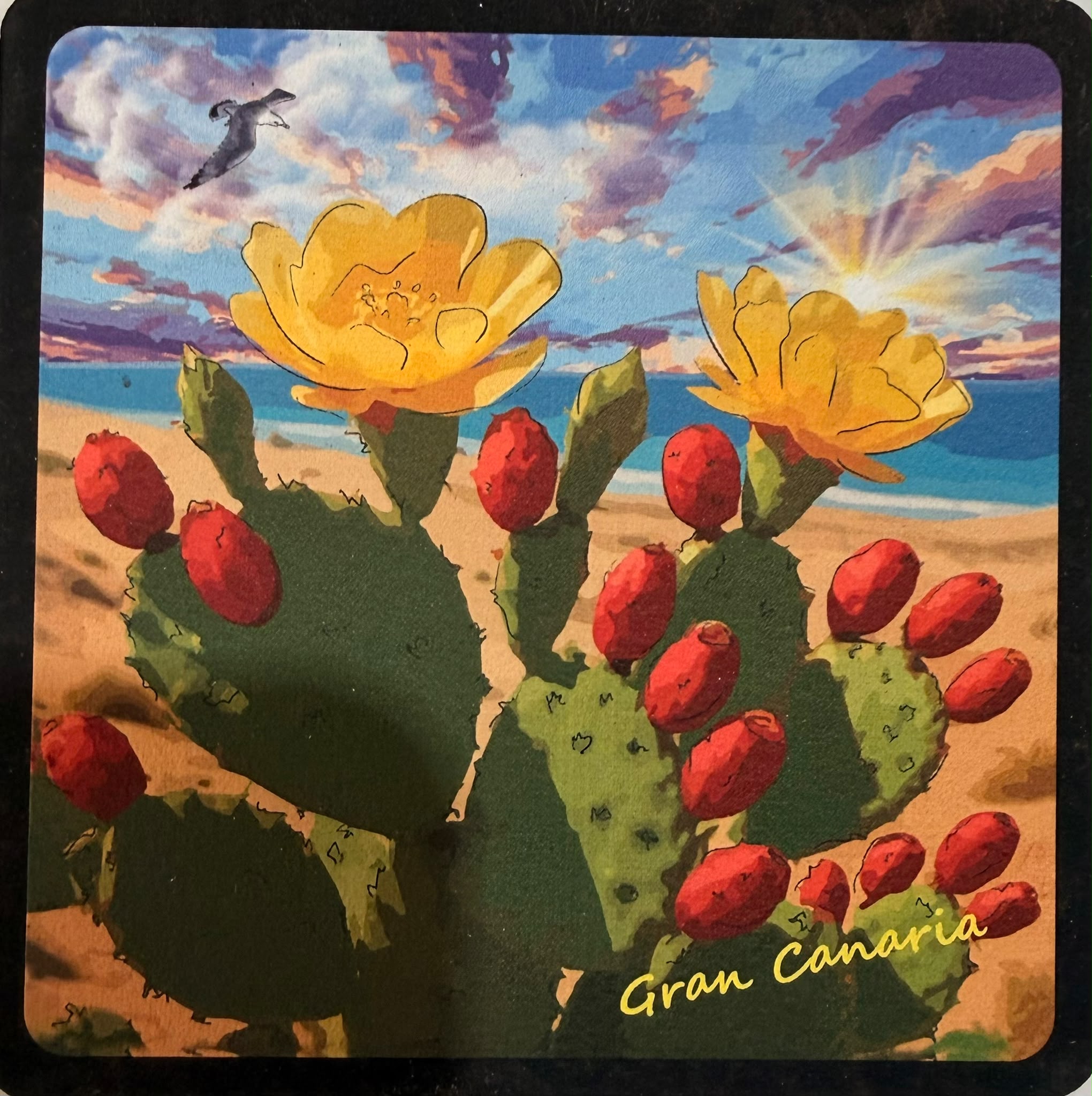 GCPV-005