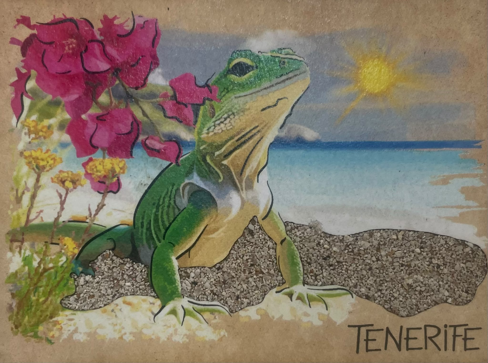 TFPOSTAL-10 LAGARTO