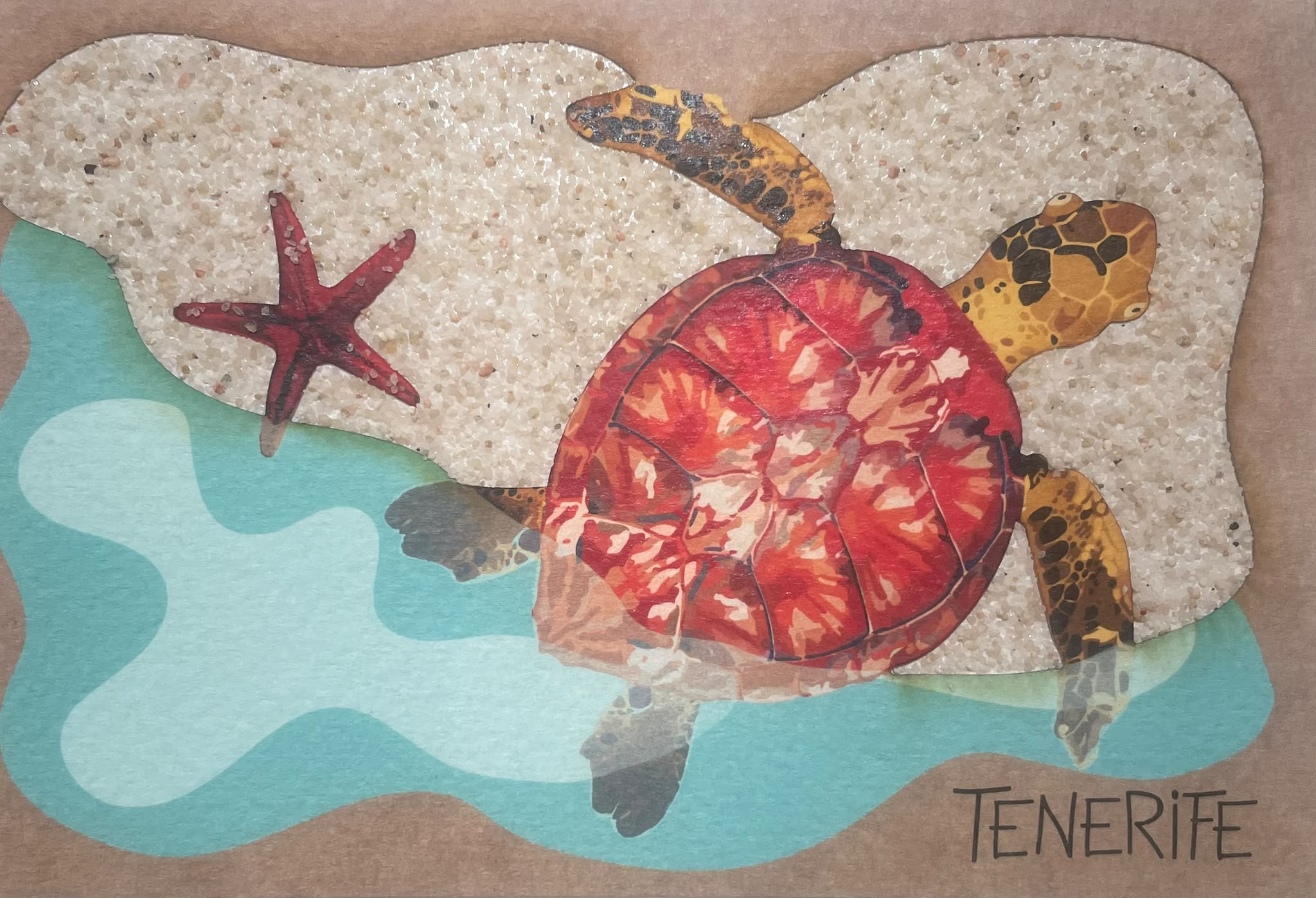 TFPOSTAL-21 TORTUGA