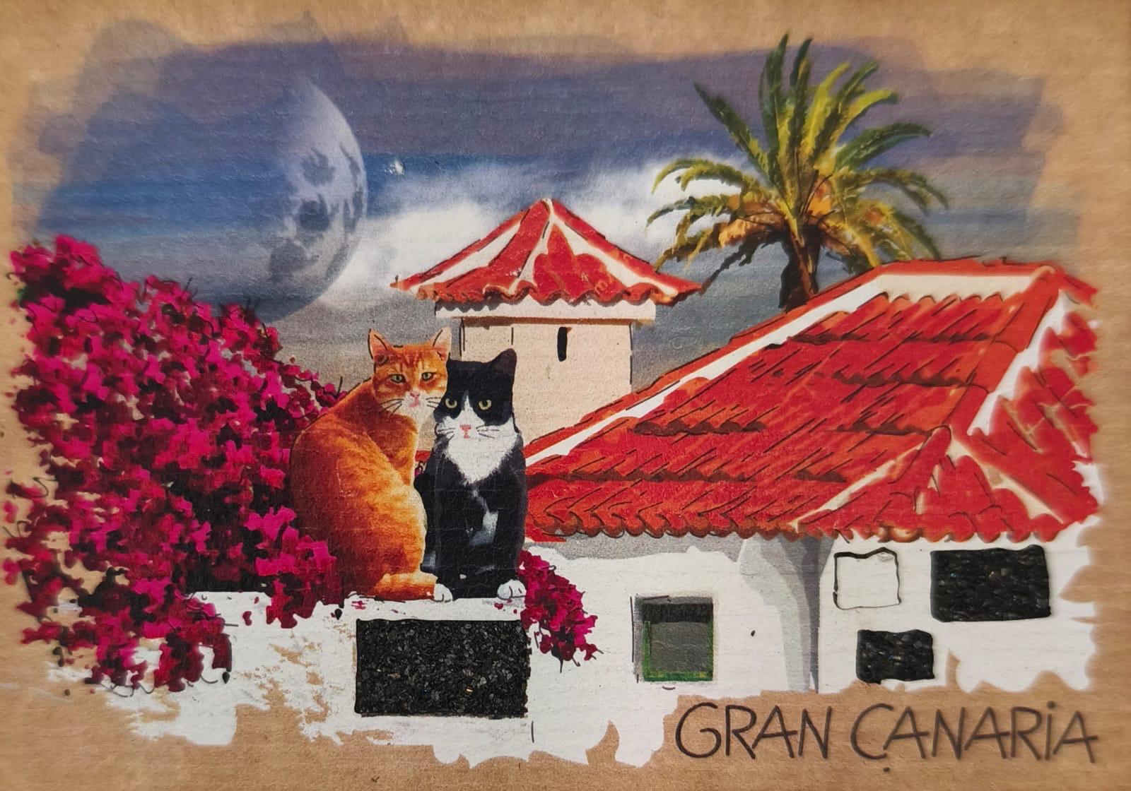 BIM-05 GATOS