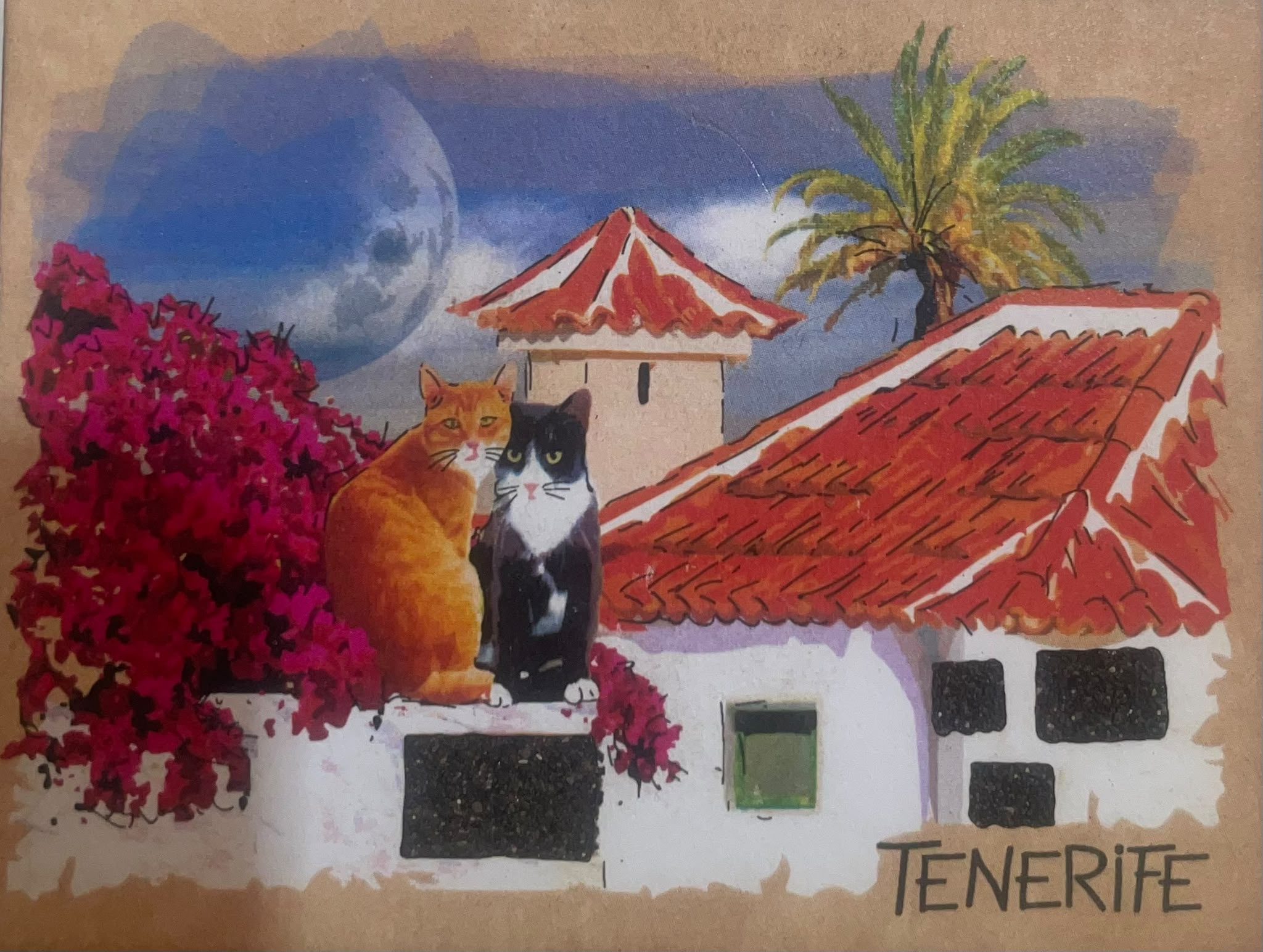 TFPOSTAL-17 GATOS