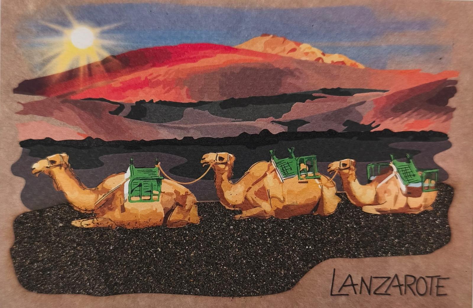 LANIMAN-01 CAMELLOS