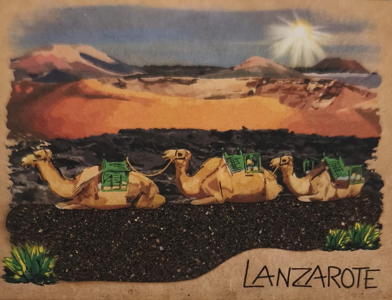 LANPOS-08 CAMELLOS