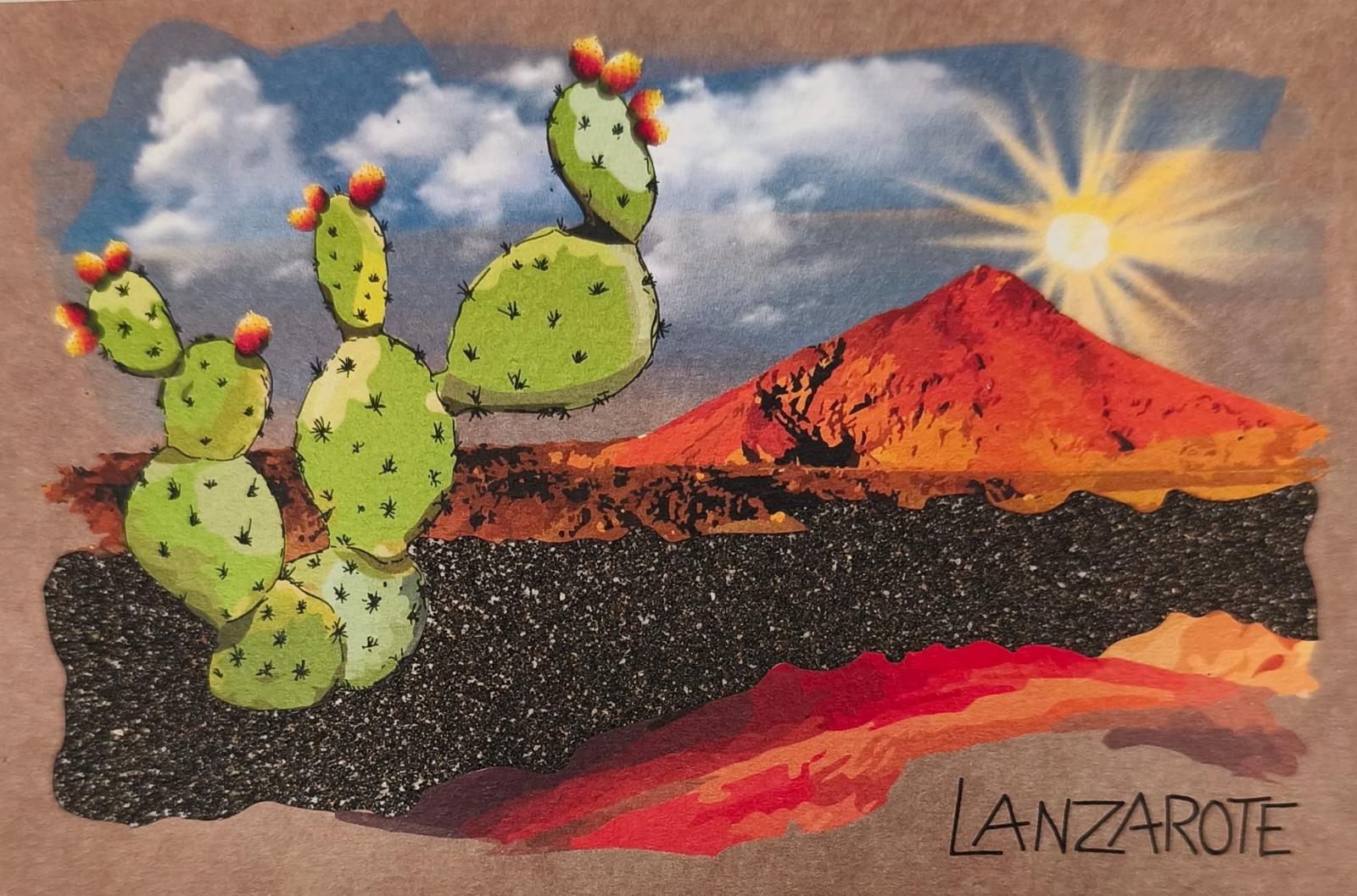 LANIMAN-17 CACTUS
