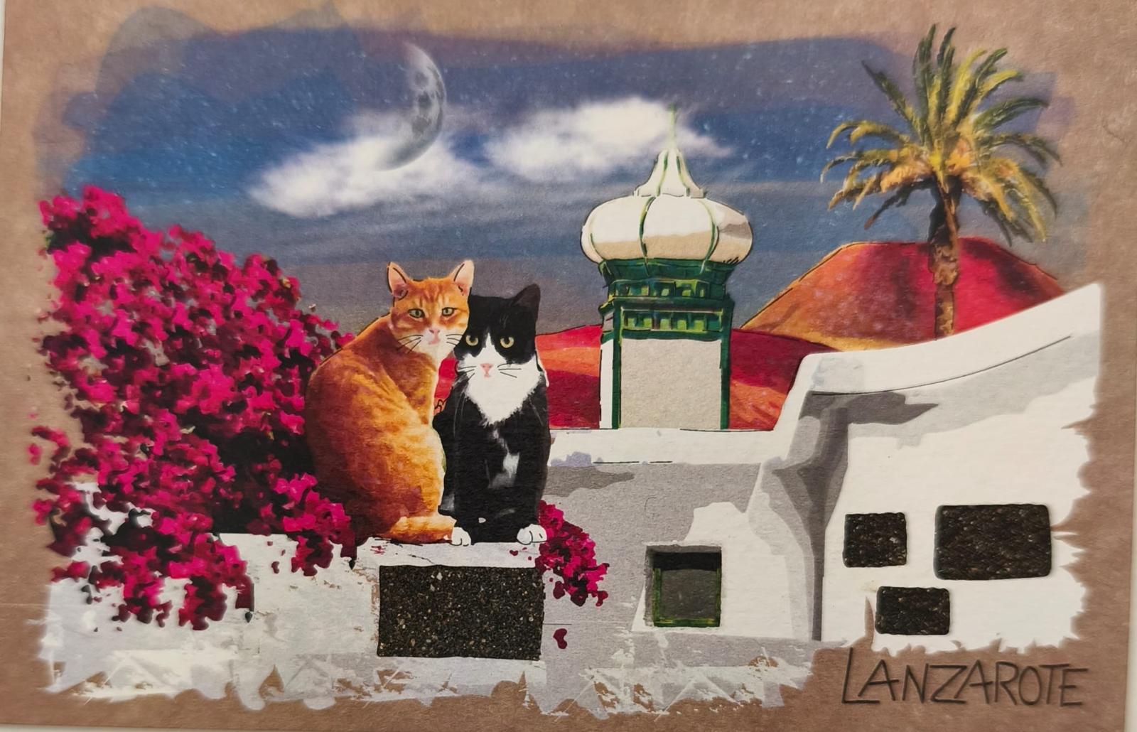 LANPOS-17 GATOS